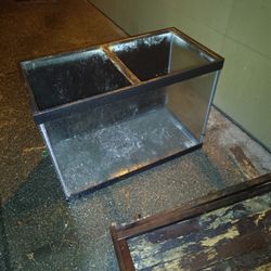 Free Aquarium Tank