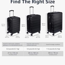 Amazon Basics Luggage 
