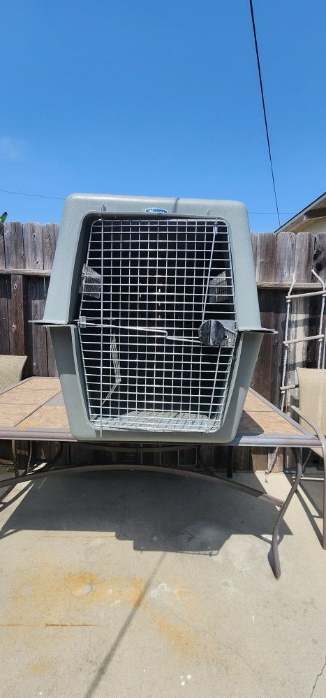 Dog Kennel