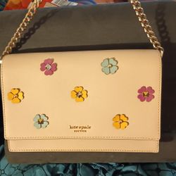 Kate Spade Clutch