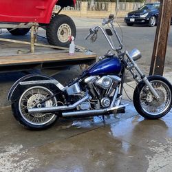 99 Softail Harley 