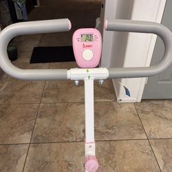 Ride N Row Full Body Workout Machine 