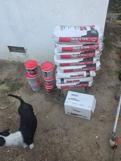 Plaster