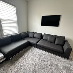 Long Grey Couch 