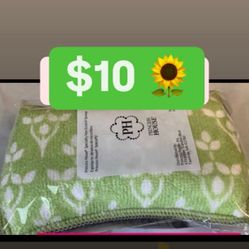 Esponja Para Lavar Trastes Caserolas Ollas $10.00 Especial Princess House Ventas Finales 