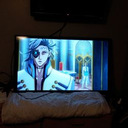 55" Sceptre Tv (2160) 60 HZ