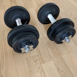 Adjustable Dumbbell Pair 25 lbs x 2