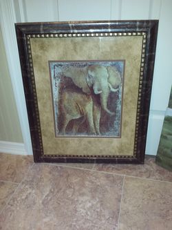Safari prints