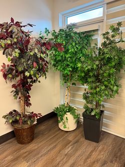 Artificial plants