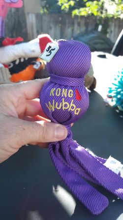 Pet toy with squeaker in it