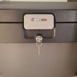 SentrySafe Security Safe- Barely used