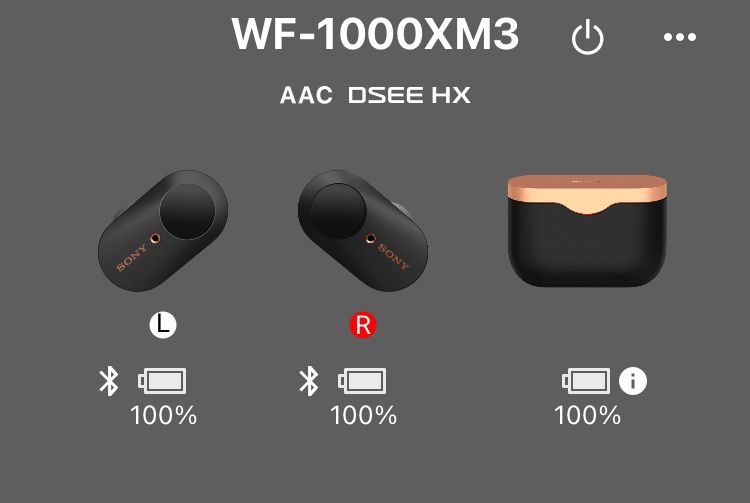 Sony WF-1000XM3 Bluetooth Headphones