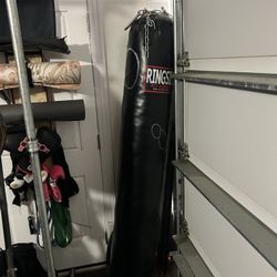 Ringside Muay Thai Bag And Mount 