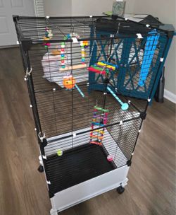 Parrot cage and accessories