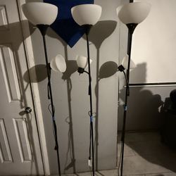  LIGHTS 