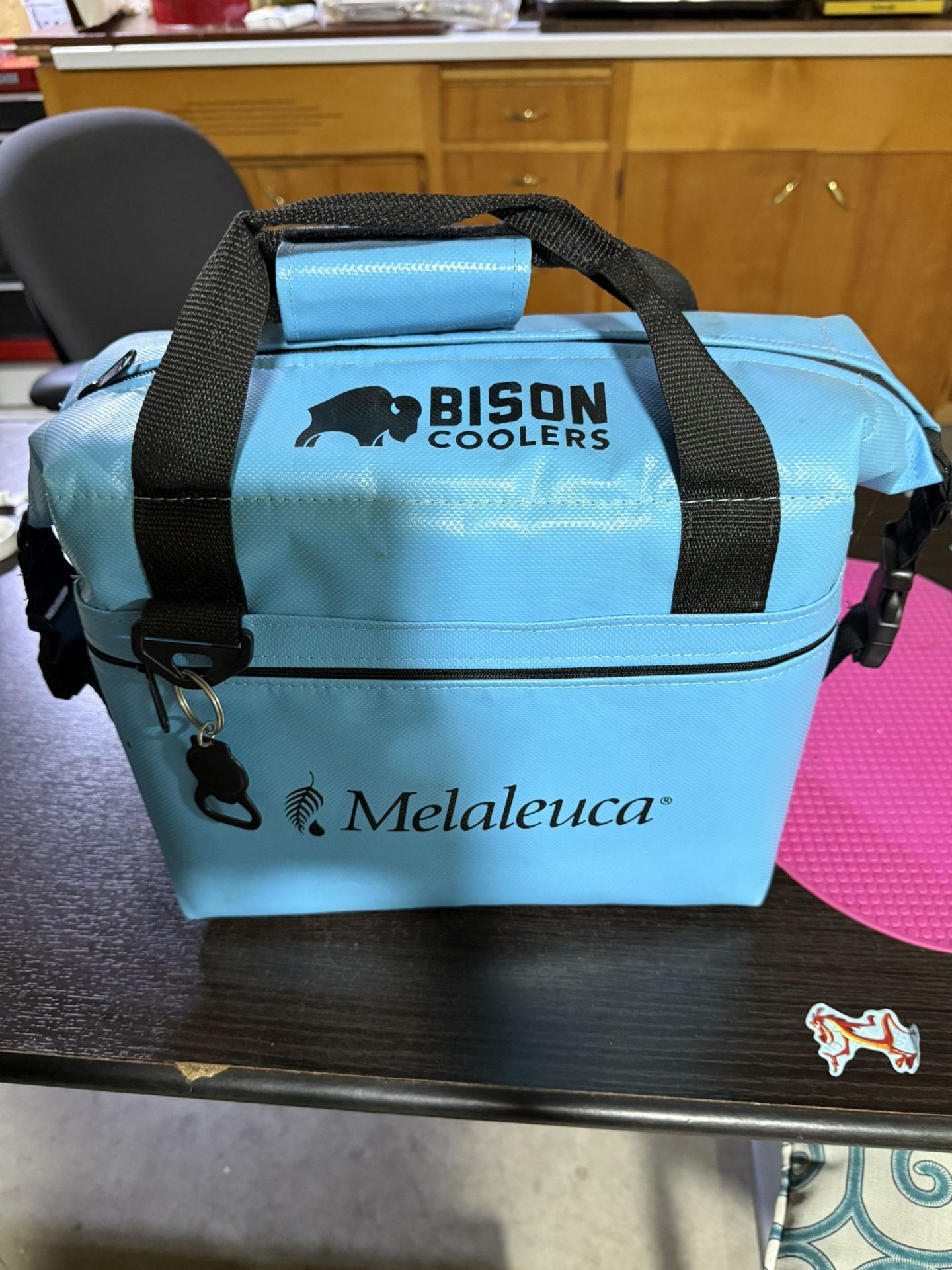 Cooler Bag