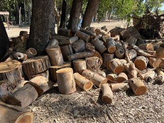 Eucalyptus And Poplar Firewood