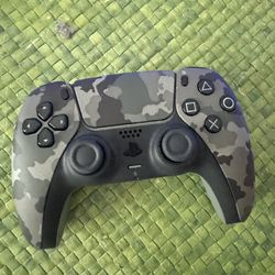 PlayStation Camo Controller 