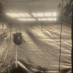 Indoor Grow Setup