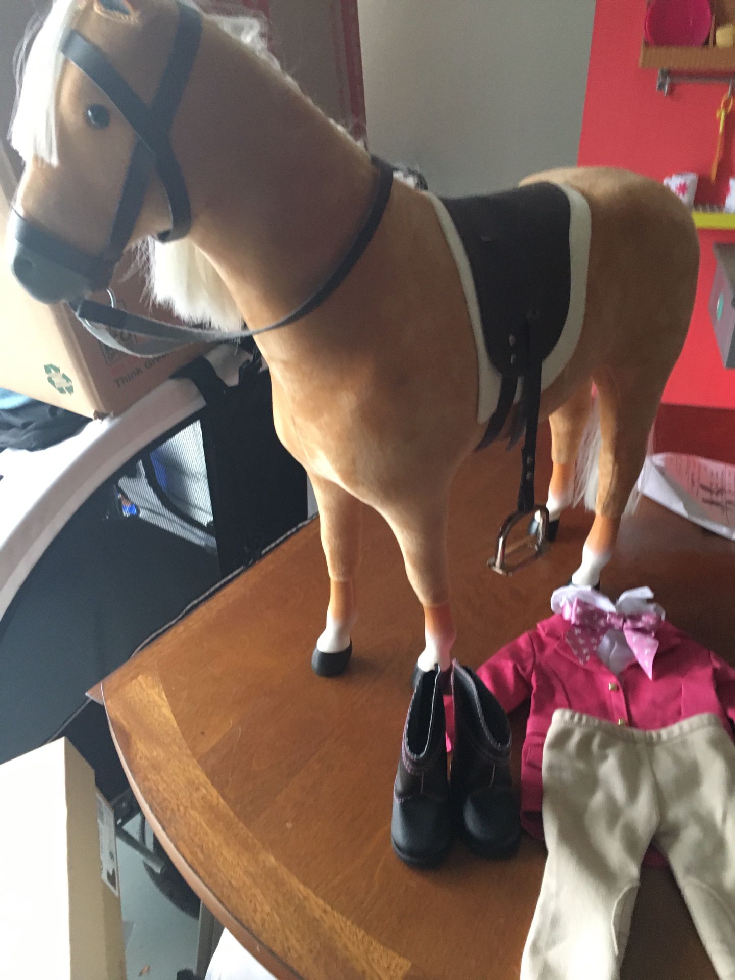 American girl horse and pretty riding outfit