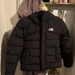 The north face men’s jacket