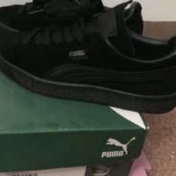 pumas