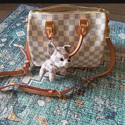 Louis Vuitton Speedy25