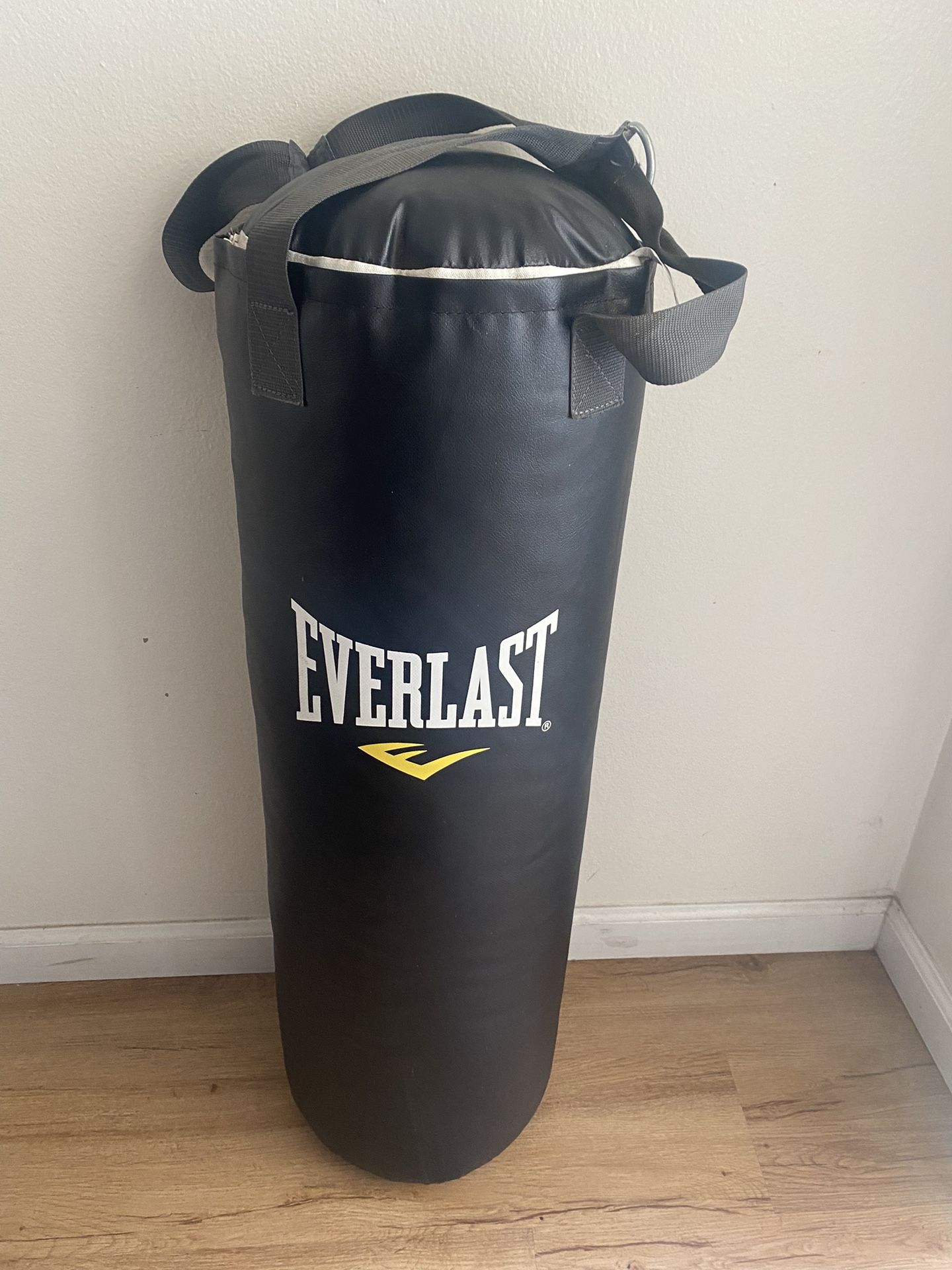 Everlast Punching Bag