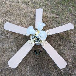 Ceiling Fan