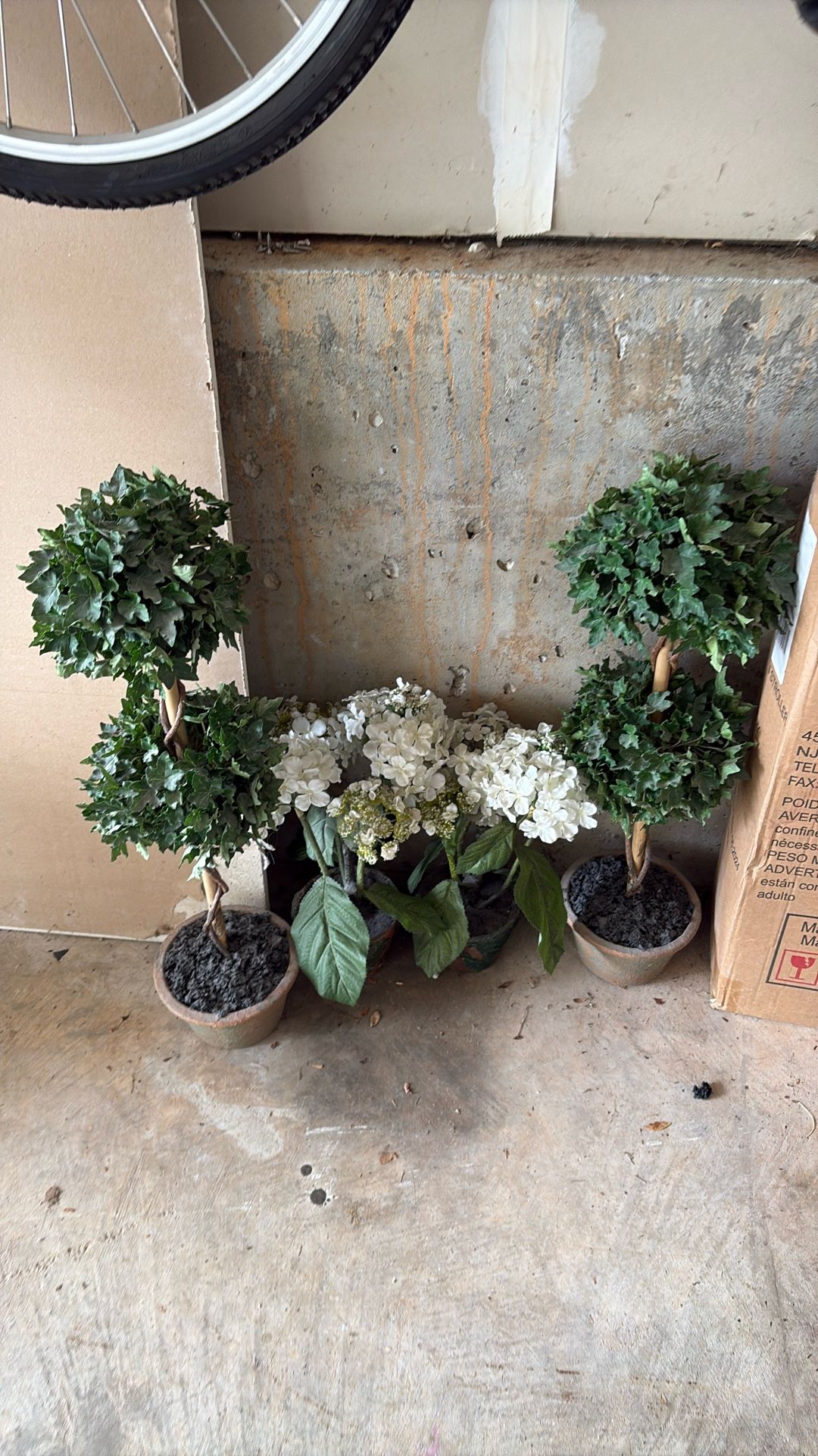 Free Decorative Plants 4 Total 