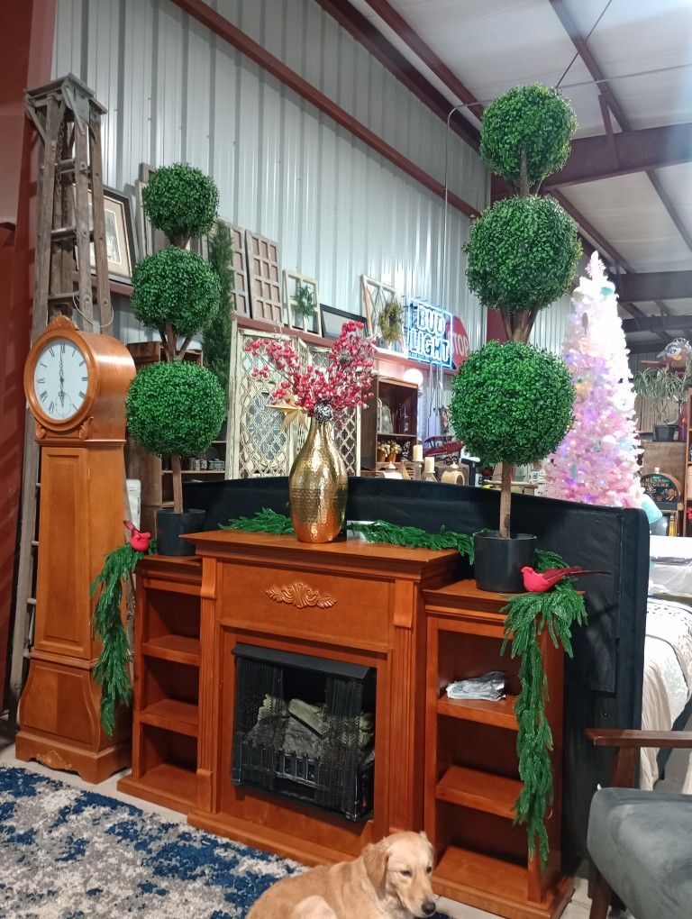 Fireplaces With Heaters / Calentones