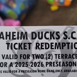 Anaheim Ducks Ticket 