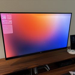 LG 4k Monitor - 27 inch