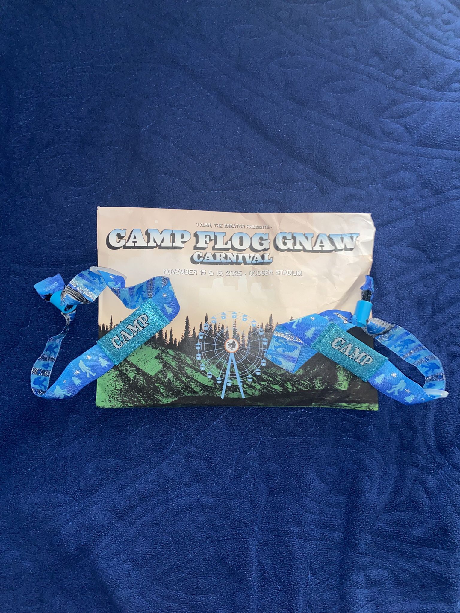 Camp Flog Gnaw Wristband 2025