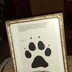 Actual Size Wolf Paw Print In  8 By 10 Frame