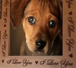 ❤ Engraved Frame