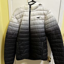 Hollister Winter jacket 