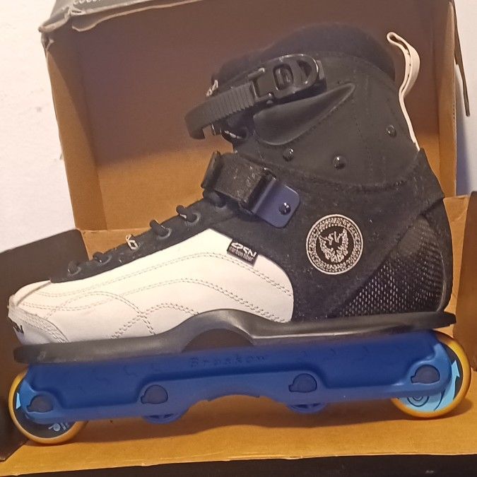 Deshi Carbon Fiber Aggressive Inline Skates Iconic Roces Valo Gawds K2 Them Razors Rollerblade Outdoors Summer Ramp Rails Sport