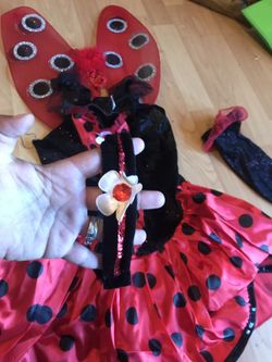 Lady bug Halloween costume