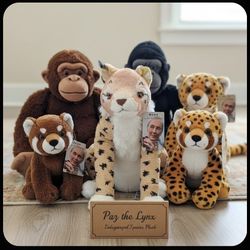 Paz the Lynx: An Endangered Species Plush from the Jane Goodall Institute