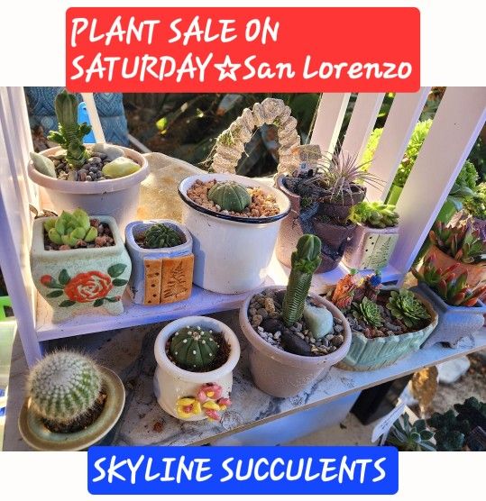 PLANT SALE ON SATURDAY IN SAN LORENZO. CONTACT ME FOR APPT PLEASE
