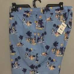 Men’s 3X Swim Shorts