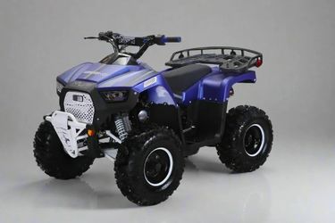 Coolster 125cc  ATV  lander on sale $999.99 At Turbopowersports com  located in Brighton MI   We offer Financing