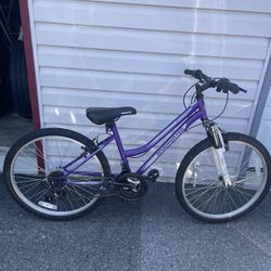 Road Master Bike 