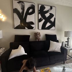 Black Sofa/Love Seat