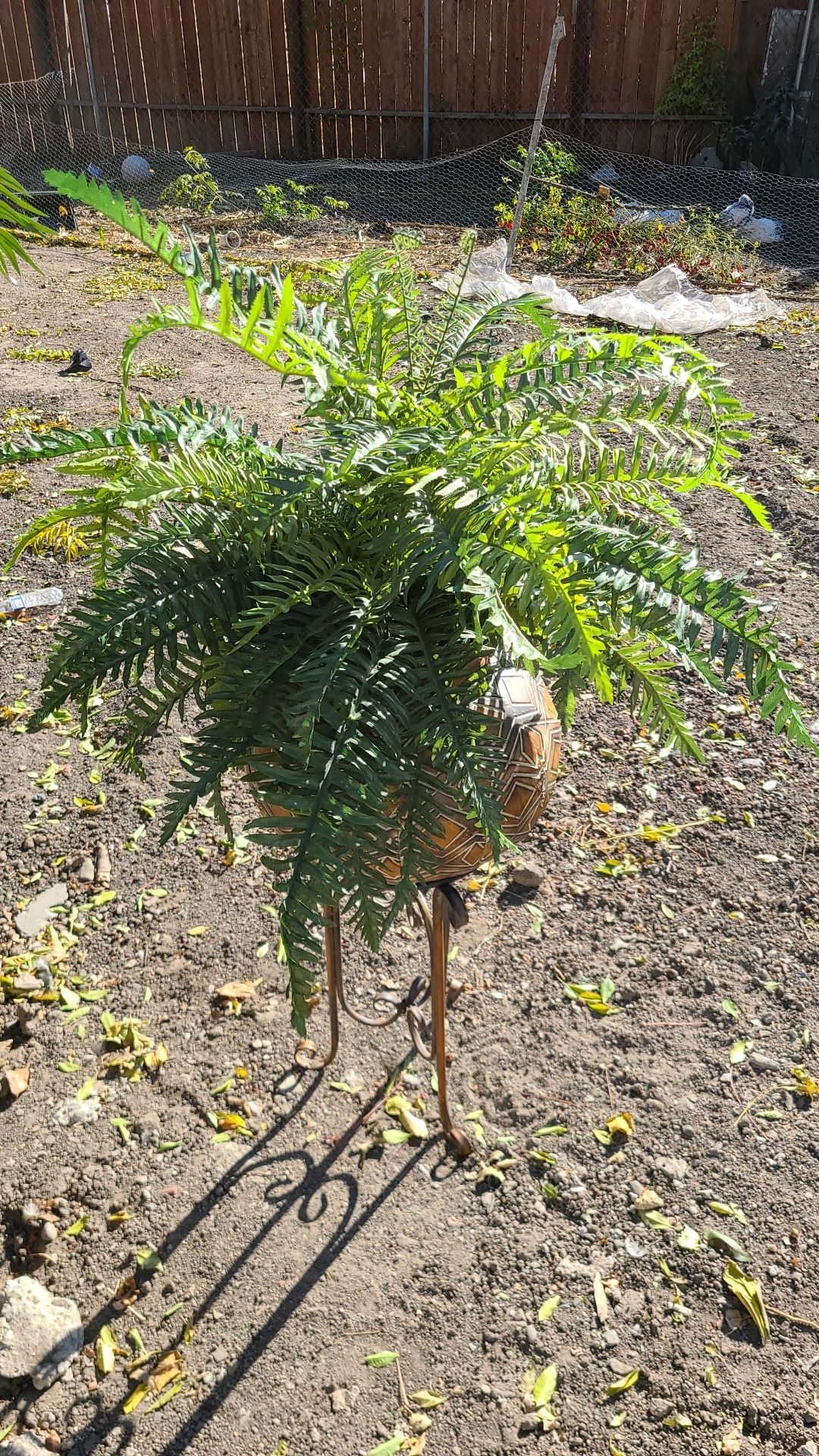 Tree for decoración