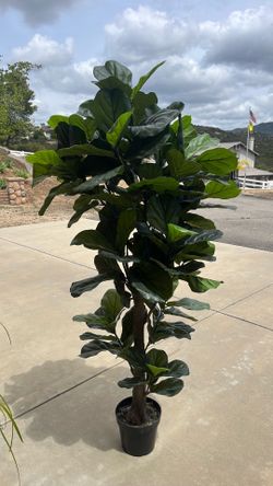 Artificial Plant