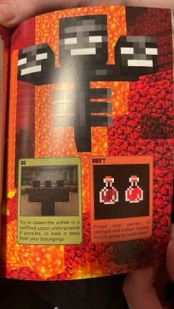 Rare Minecraft Books