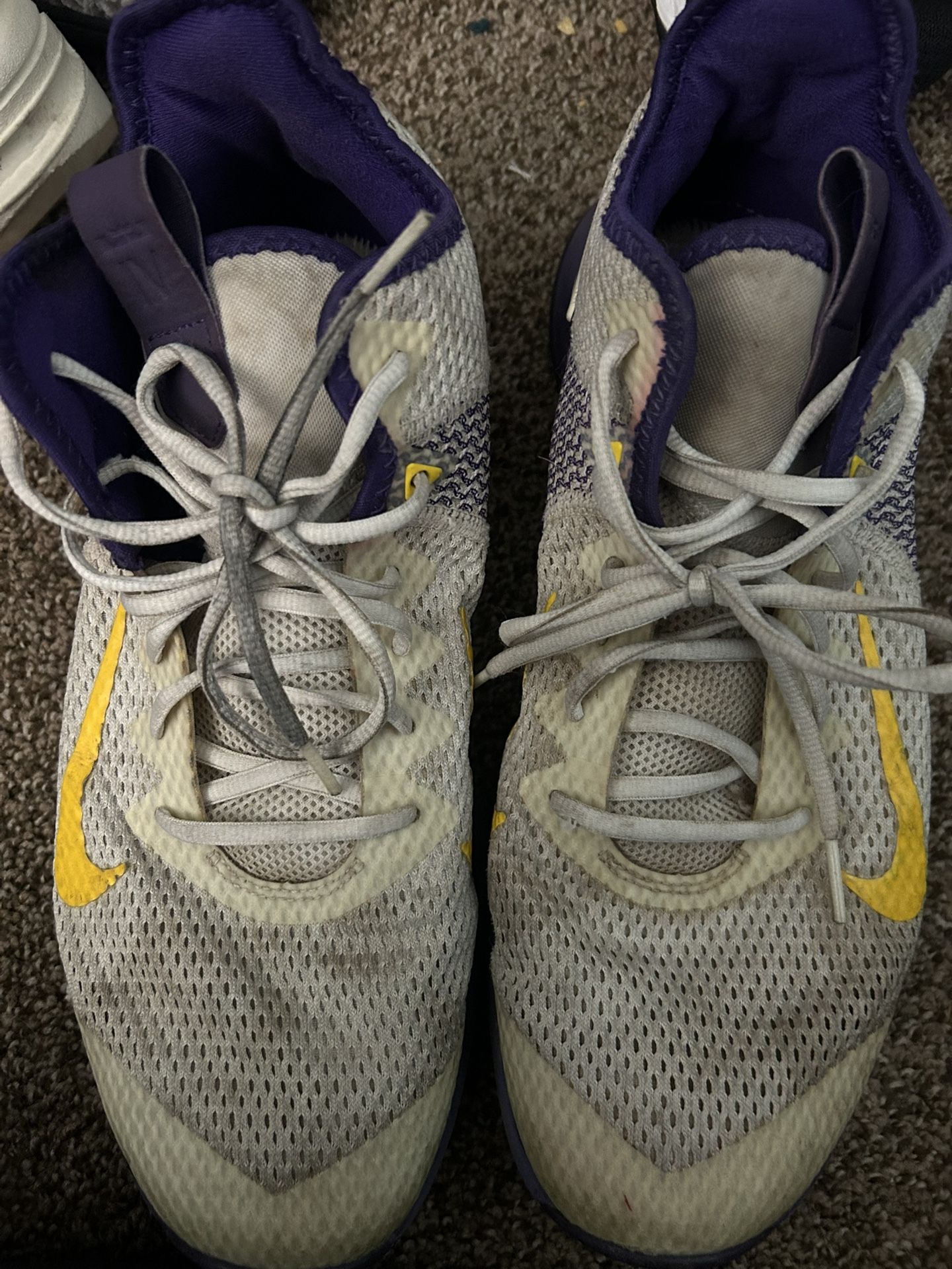 Nike LeBron Witness 4