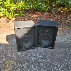 Pair Crate PE10T PA Speakers